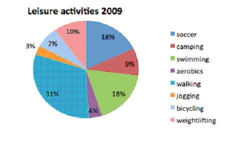 Sample of pie chart essay